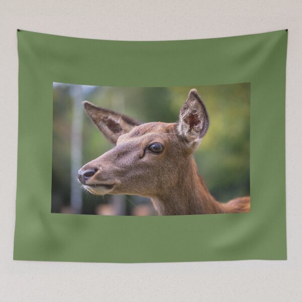 Item preview, Young deer grazing in a meadow in autumn designed and sold by AlbertMi.