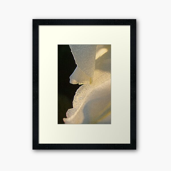 Aperçu de l'œuvre Moonflower créée et vendue par Victoria Jostes.