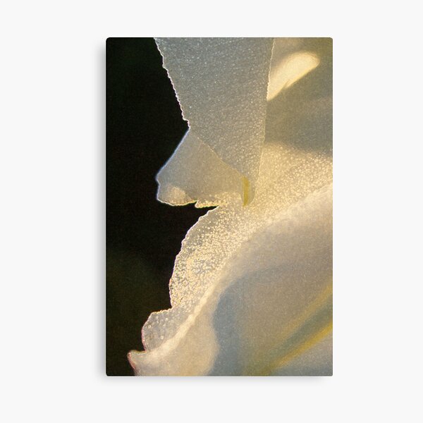 Aperçu de l'œuvre Moonflower créée et vendue par Victoria Jostes.
