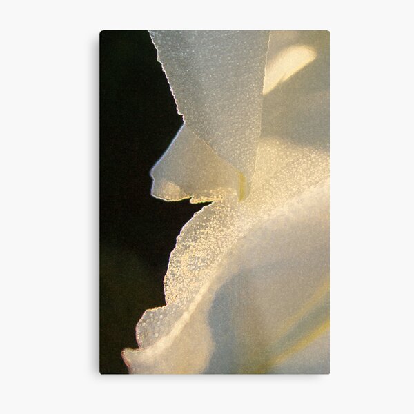 Aperçu de l'œuvre Moonflower créée et vendue par Victoria Jostes.
