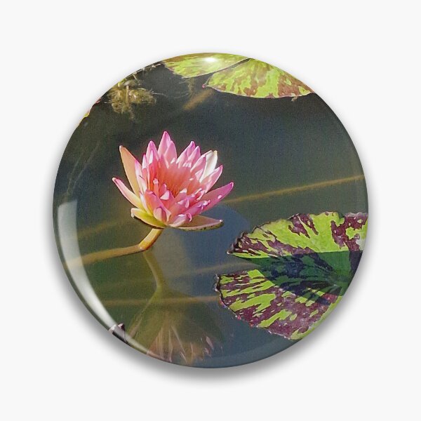 Item preview, nature, flora, water lily, pink, photography, bebicervin designed and sold by BebiCervin.