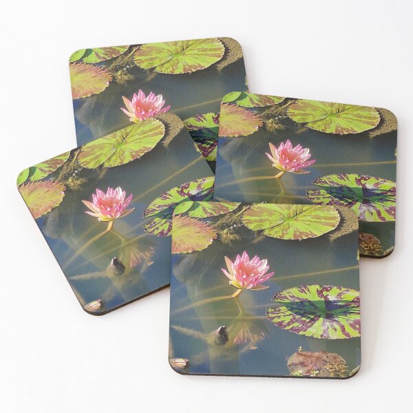 Item preview, nature, flora, water lily, pink, photography, bebicervin designed and sold by BebiCervin.