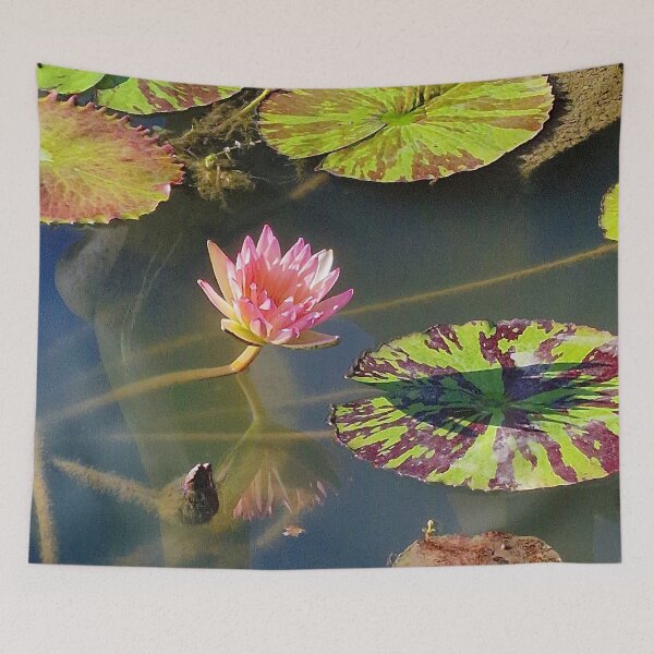 Item preview, nature, flora, water lily, pink, photography, bebicervin designed and sold by BebiCervin.