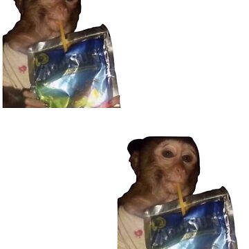 Monkey sipping caprisun meme | Photographic Print