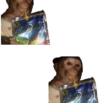 Monkey sipping caprisun meme Photographic Print for Sale by janenovacane