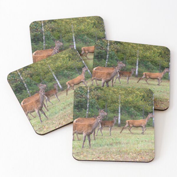 Item preview, Young deer grazing in a meadow in autumn designed and sold by AlbertMi.