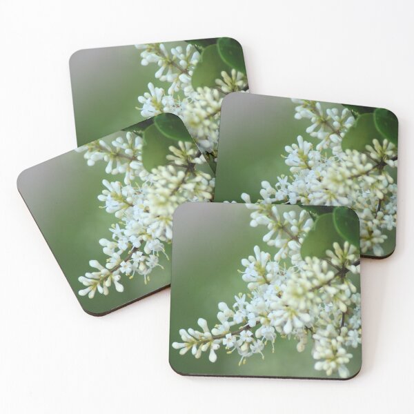 Item preview, Waxleaf Ligustrum designed and sold by Carla Jensen.