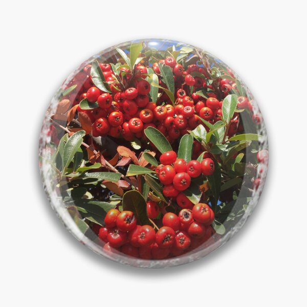 Artikelvorschau, Red Bright Berries aus immergrünem Strauch mit Spitzenbesatz von Iritof entworfen und verkauft von iritof.