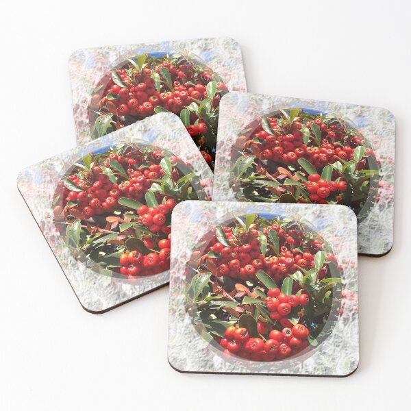 Item preview, Red Bright Berries of evergreen shrub with lace trim by Iritof designed and sold by iritof.