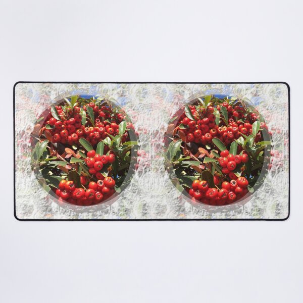 Item preview, Red Bright Berries of evergreen shrub with lace trim by Iritof designed and sold by iritof.