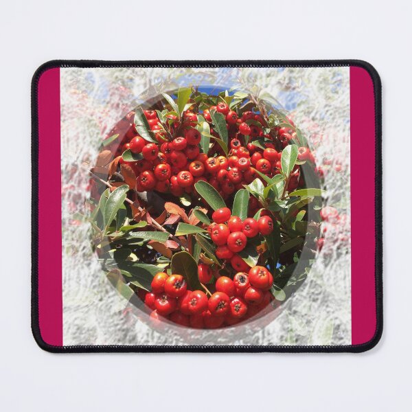 Item preview, Red Bright Berries of evergreen shrub with lace trim by Iritof designed and sold by iritof.