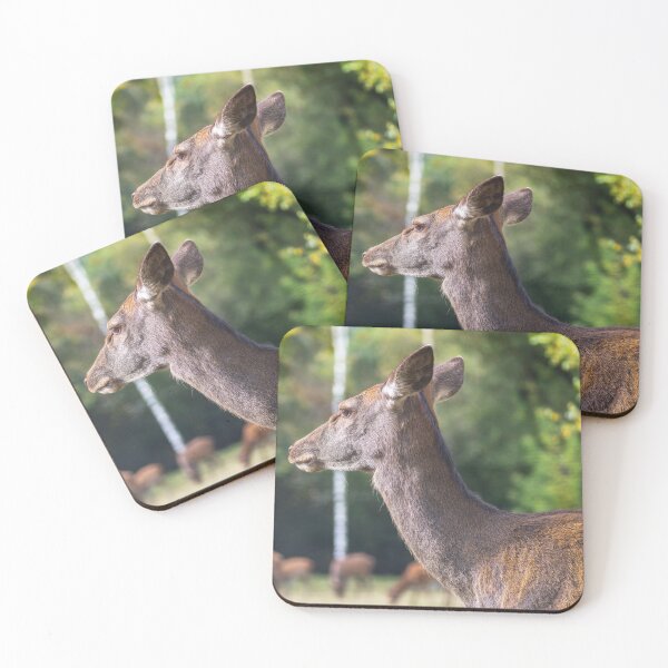 Item preview, Young deer grazing in a meadow in autumn designed and sold by AlbertMi.