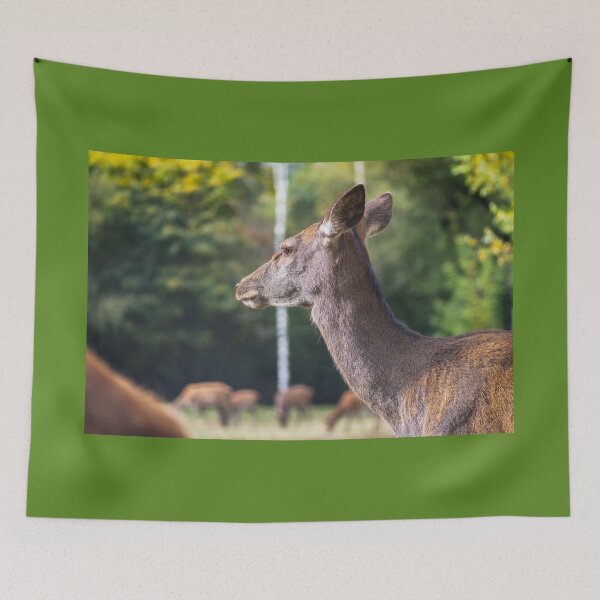 Item preview, Young deer grazing in a meadow in autumn designed and sold by AlbertMi.