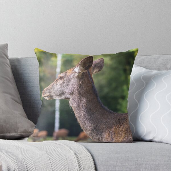 Item preview, Young deer grazing in a meadow in autumn designed and sold by AlbertMi.