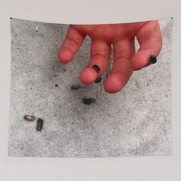 Item preview, Roly-Poly Fingers designed and sold by Nalinne Jones.
