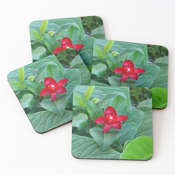 Item preview, nature, flora, flower, red, photography, bebicervin designed and sold by BebiCervin.