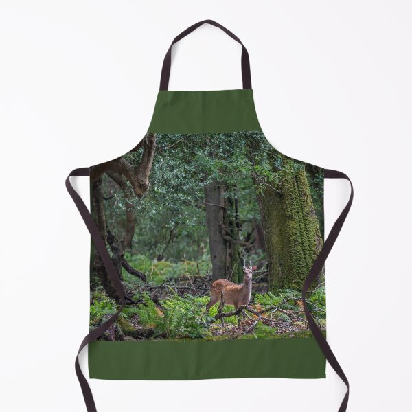 Item preview, Young wild deer in Killarney National Park, near the town of Killarney, County Kerry, Ireland designed and sold by AlbertMi.