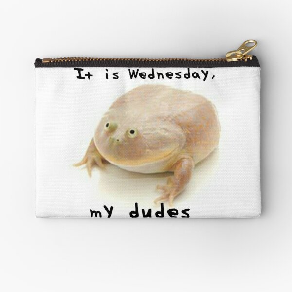 Its wednesday my dudes мем. It is Wednesday my dudes Frog. Wednesday my dudes. Плакат it is Wednesday my dudes.