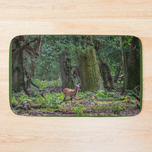 Item preview, Young wild deer in Killarney National Park, near the town of Killarney, County Kerry, Ireland designed and sold by AlbertMi.