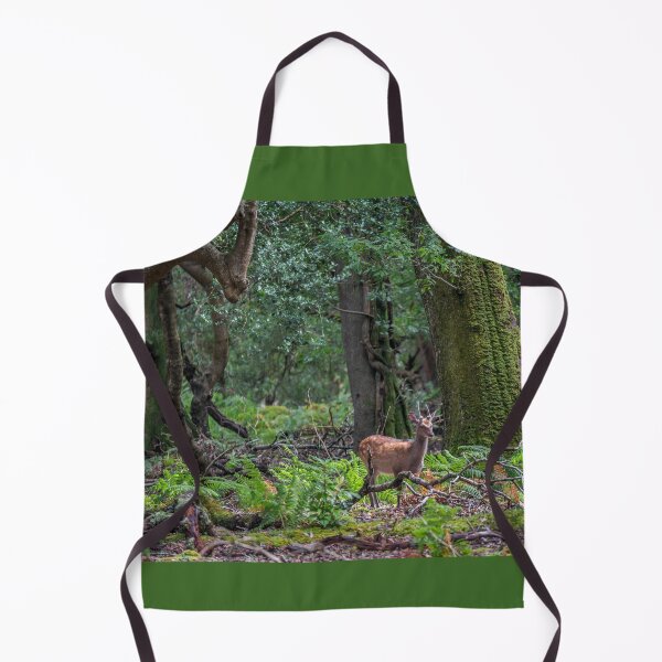Item preview, Young wild deer in Killarney National Park, near the town of Killarney, County Kerry, Ireland designed and sold by AlbertMi.