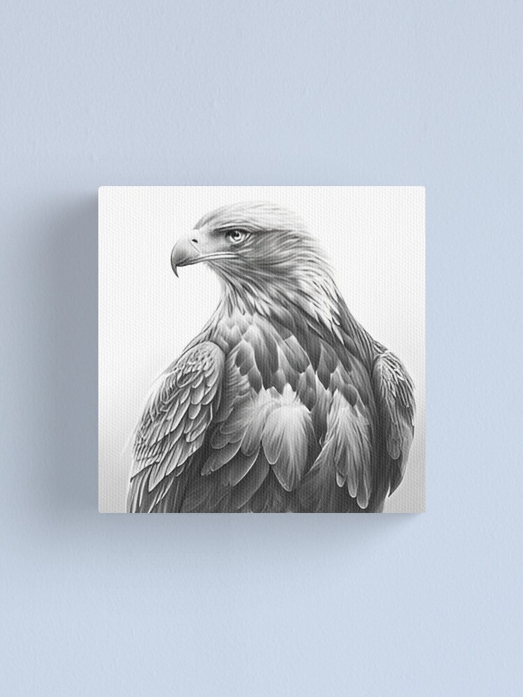 2296 Eagle Pencil Drawing Images Stock Photos  Vectors  Shutterstock