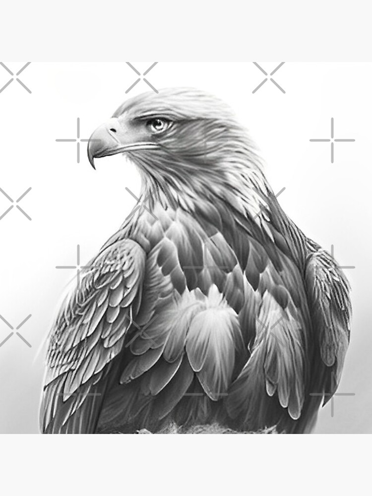 Black and white eagle pencil drawing Sticker for Sale by PencilArt   Redbubble