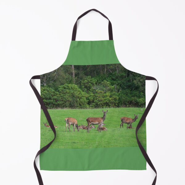 Item preview, Young wild deer in Killarney National Park, near the town of Killarney, County Kerry, Ireland designed and sold by AlbertMi.