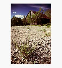 An Odd Perspective Photographic Print