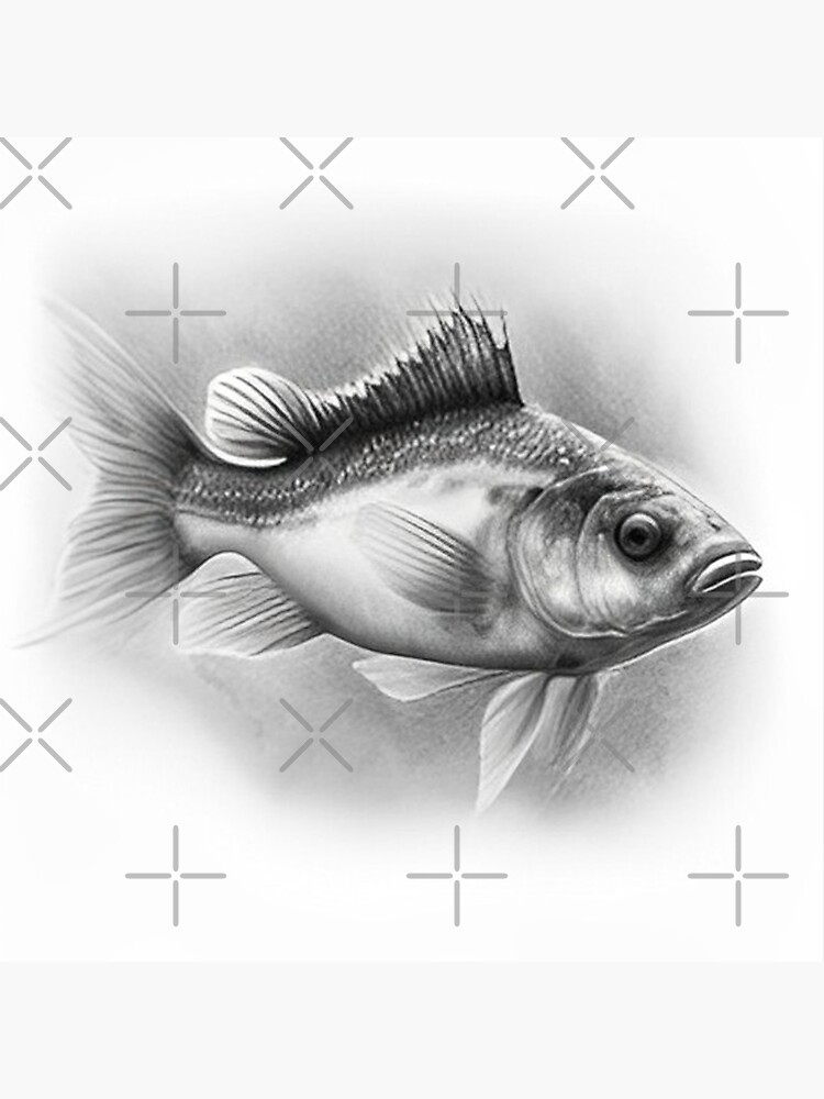 Fish Pencil Drawing Images | Free Photos, PNG Stickers, Wallpapers &  Backgrounds - rawpixel