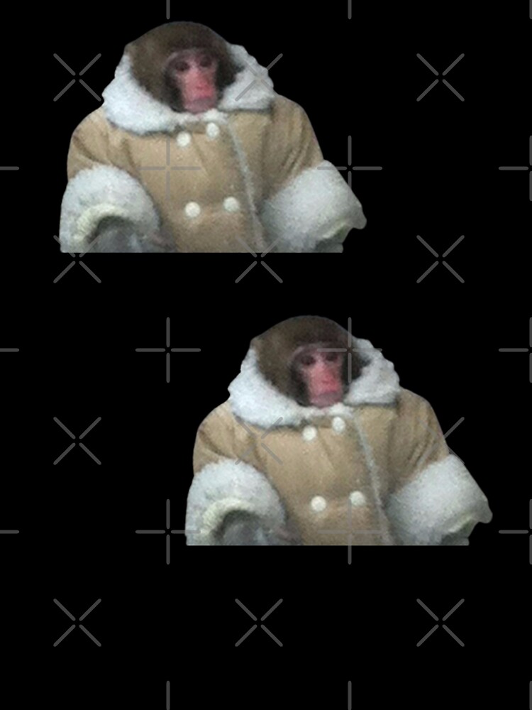 IKEA Monkey  Know Your Meme