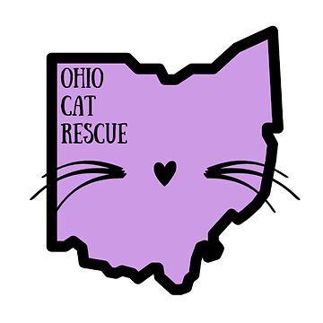 adopt a cat in ohio