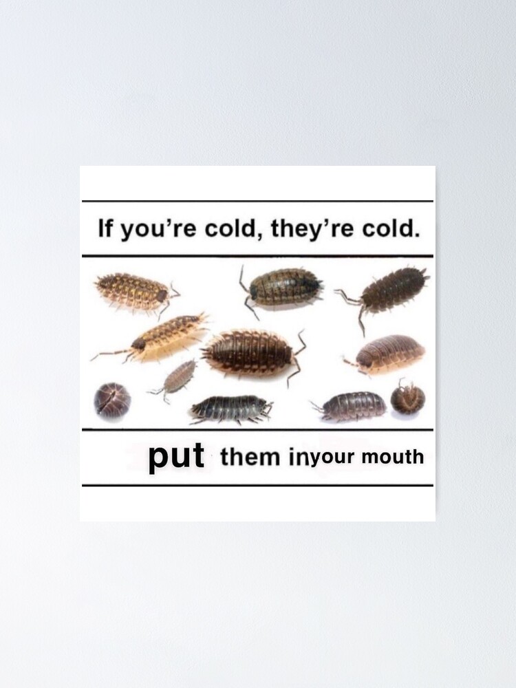If you’re cold, they’re cold. put them in your mouth