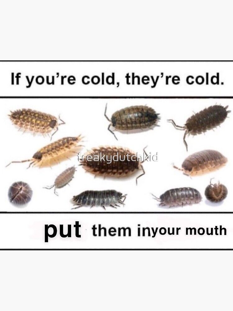 If you’re cold, they’re cold. put them in your mouth