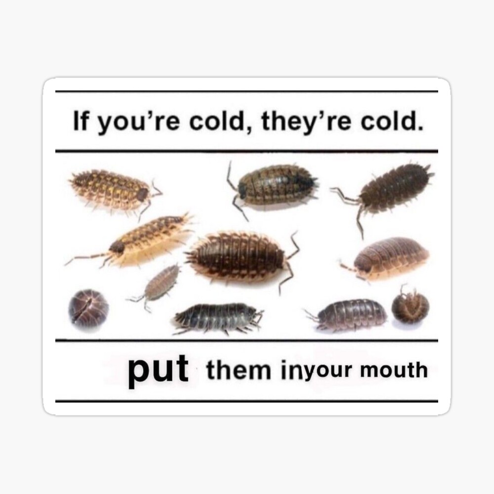 If youre cold, theyre cold. put them in your mouth Greeting Card for  Sale by freakydutchkid | Redbubble