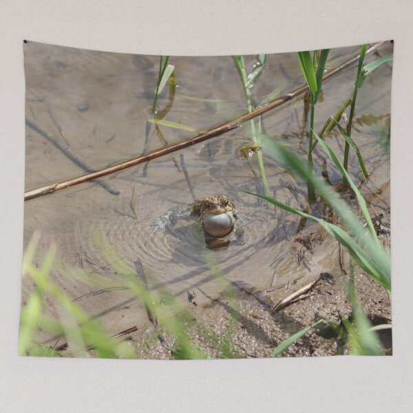 Item preview, Toad Calling designed and sold by Fhfarms.