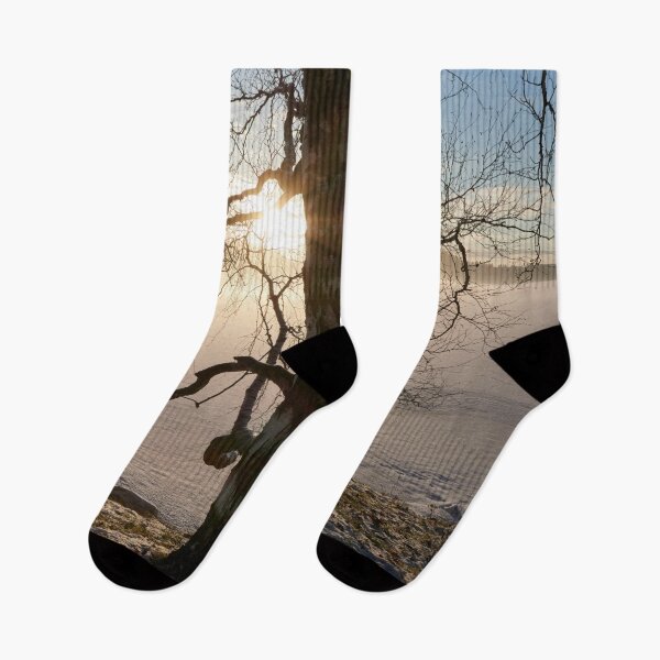 Item preview, That old birch.Tampere Arboretum designed and sold by Jouko Lehto Photography.