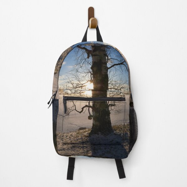 Item preview, That old birch.Tampere Arboretum designed and sold by Jouko Lehto Photography.