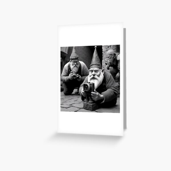 Gnomes 4 Greeting Card