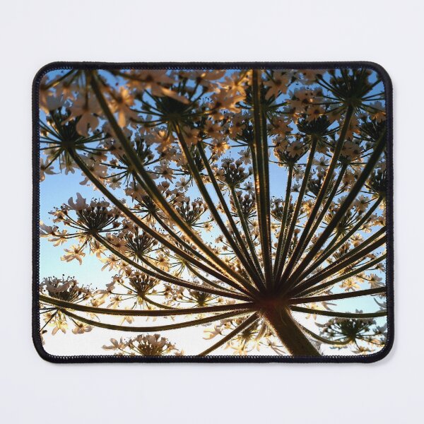 Item preview, Hogweed Flower designed and sold by YogaBreak.