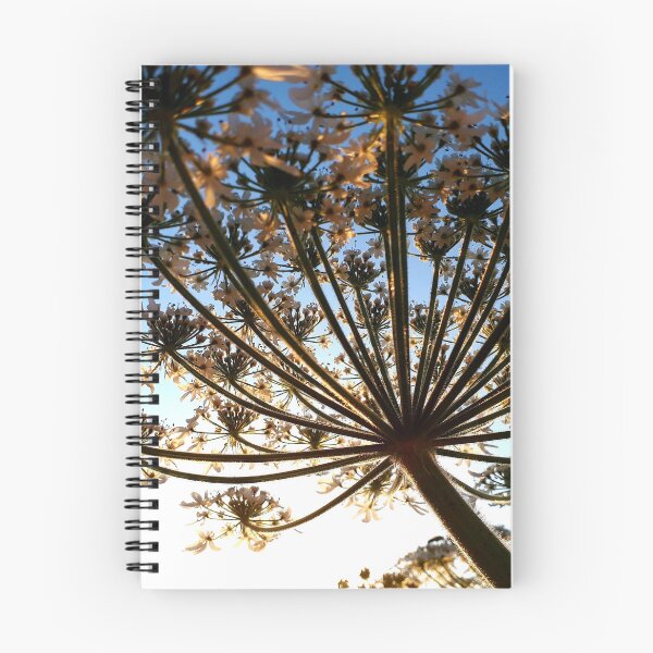 Item preview, Hogweed Flower designed and sold by YogaBreak.