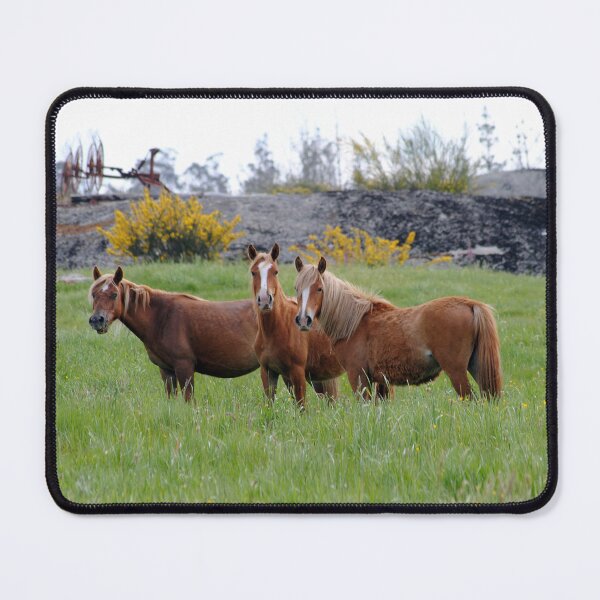 Item preview, Three Horses designed and sold by iago rodriguez dopico.