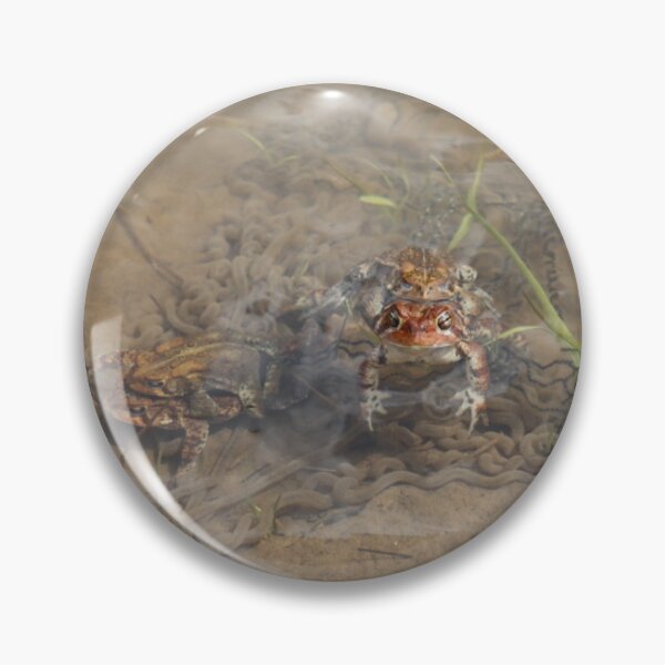 Item preview, Mating Toads on Eggs designed and sold by Fhfarms.