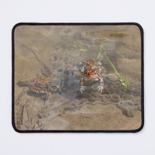 Item preview, Mating Toads on Eggs designed and sold by Fhfarms.