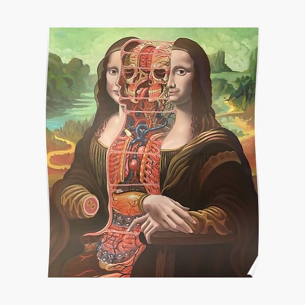 Anatomy Poster