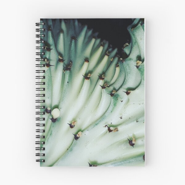Item preview, Close up, plant photography designed and sold by YogaBreak.