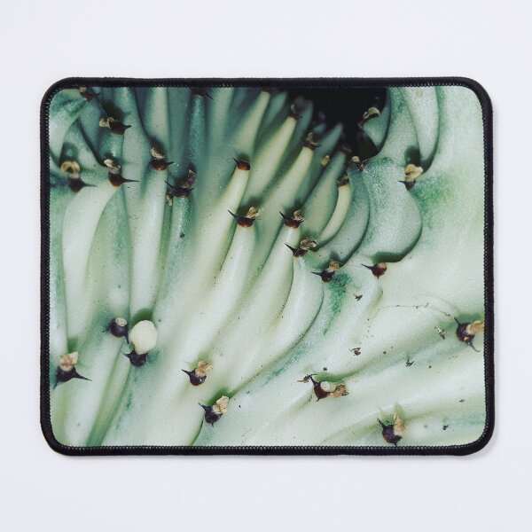 Item preview, Close up, plant photography designed and sold by YogaBreak.