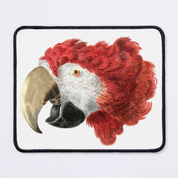 Item preview, macaw art designed and sold by epulmol.