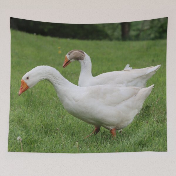 Item preview, Mr. & Mrs. Goose designed and sold by Fhfarms.