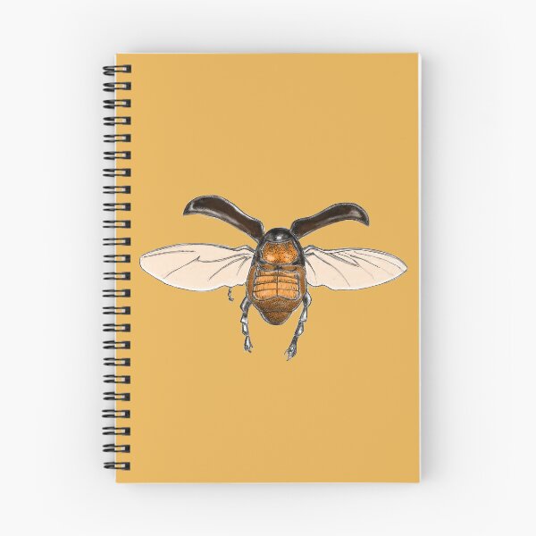 Item preview, Flying beetle designed and sold by johanondra.