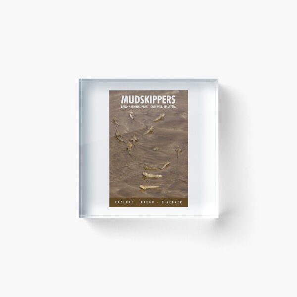 Item preview, Mudskippers at Bako National Park designed and sold by edojan-nl.